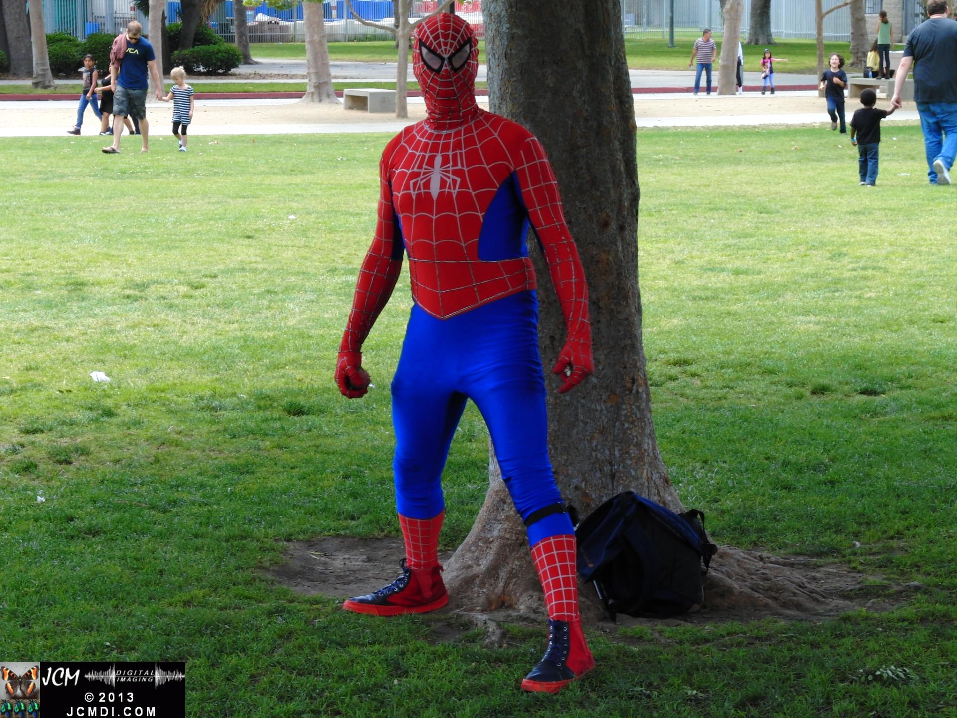 LANHM Bug Fair 2013  Spiderman under a Tree